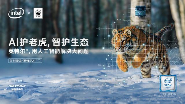 Siberian Tiger, Animal Database